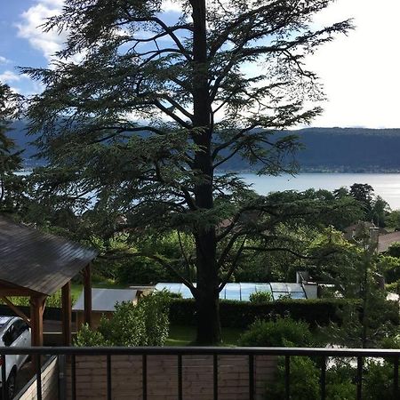 Charmant T2 Vue Lac Veyrier Du Lac / Annecy Exterior photo